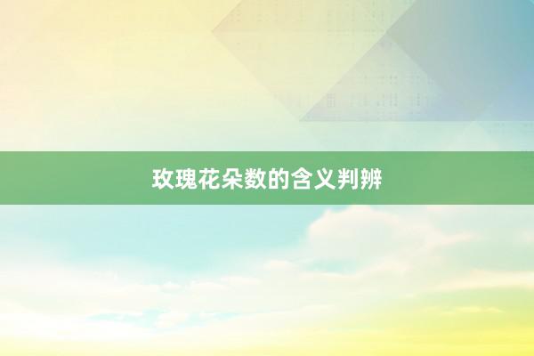 玫瑰花朵数的含义判辨